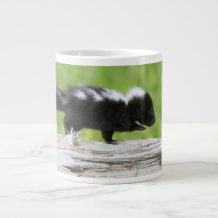Kutest Baby Animals   Baby Skunk Grote Koffiekop