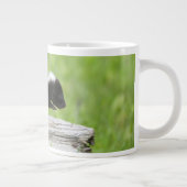 Kutest Baby Animals | Baby Skunk Grote Koffiekop (Rechts)