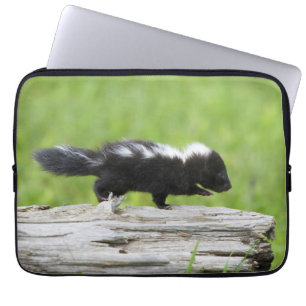 Kutest Baby Animals   Baby Skunk Laptop Sleeve