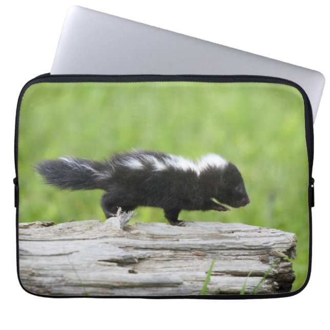 Kutest Baby Animals | Baby Skunk Laptop Sleeve (Voorkant)