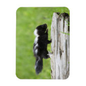 Kutest Baby Animals | Baby Skunk Magneet (Verticaal)