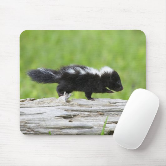 Kutest Baby Animals | Baby Skunk Muismat (Met muis)
