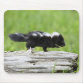 Kutest Baby Animals | Baby Skunk Muismat (Voorkant)