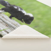 Kutest Baby Animals | Baby Skunk Sherpa Deken (3/4)