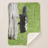 Kutest Baby Animals | Baby Skunk Sherpa Deken (Voorkant)