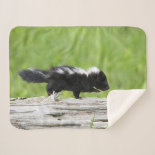 Kutest Baby Animals Baby Skunk Sherpa Deken