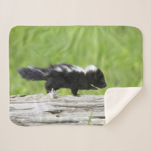 Kutest Baby Animals | Baby Skunk Sherpa Deken (Voorkant (horizontaal))