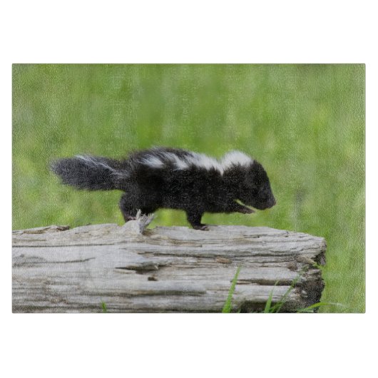 Kutest Baby Animals | Baby Skunk Snijplank (Voorkant)