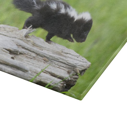 Kutest Baby Animals | Baby Skunk Snijplank (Hoek)