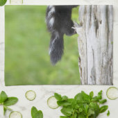 Kutest Baby Animals | Baby Skunk Theedoek (Gevouwen)