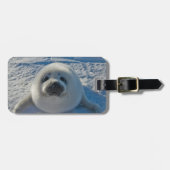 Kutest Baby Animals | Baby zegel Bagagelabel (Voorkant horizontaal)