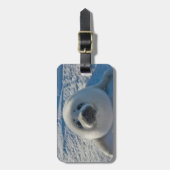 Kutest Baby Animals | Baby zegel Bagagelabel (Voorkant verticaal)