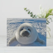 Kutest Baby Animals | Baby zegel Bedankkaart (Staand voorkant)