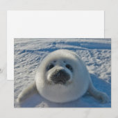 Kutest Baby Animals | Baby zegel Bedankkaart (Voorkant / Achterkant)