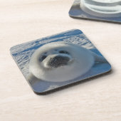 Kutest Baby Animals | Baby zegel Bier Onderzetter (Linkerzijde)