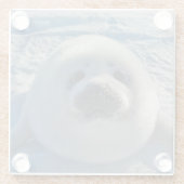 Kutest Baby Animals | Baby zegel Glazen Onderzetter (Achterkant)