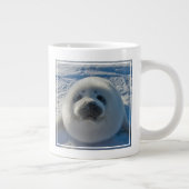 Kutest Baby Animals | Baby zegel Grote Koffiekop (Rechts)