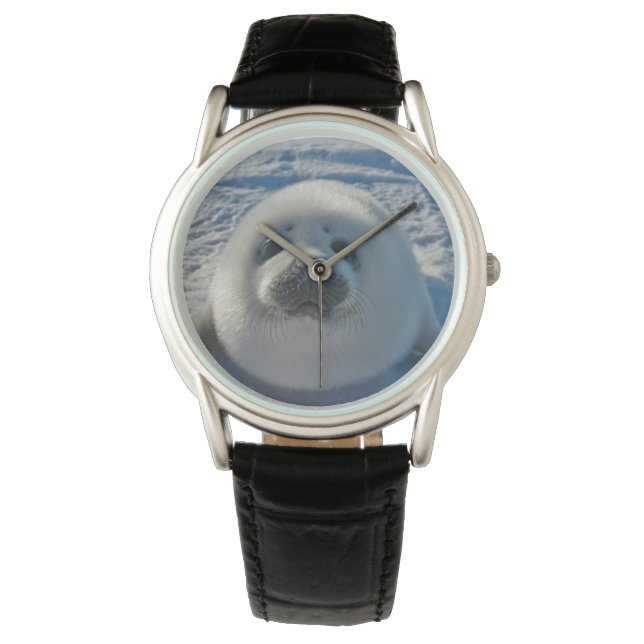 Kutest Baby Animals | Baby zegel Horloge (Voorkant)