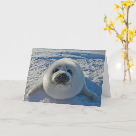 Kutest Baby Animals | Baby zegel Kaart (Gele Bloem)