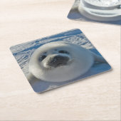 Kutest Baby Animals | Baby zegel Kartonnen Onderzetters (Schuin)