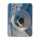 Kutest Baby Animals | Baby zegel Magneet (Verticaal)