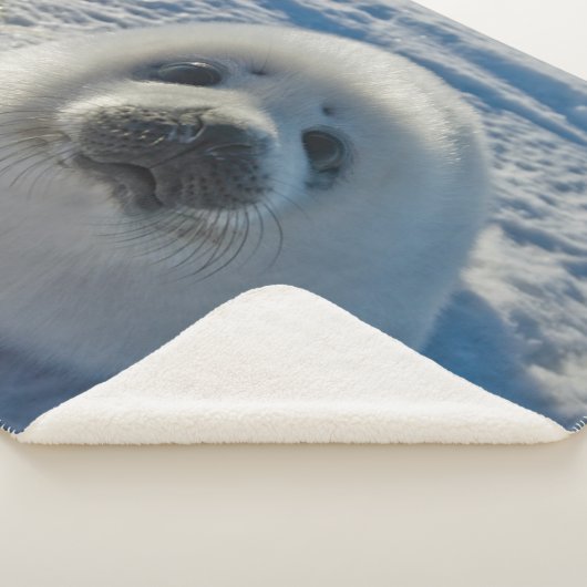 Kutest Baby Animals | Baby zegel Sherpa Deken (3/4)