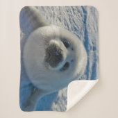 Kutest Baby Animals | Baby zegel Sherpa Deken (Voorkant)