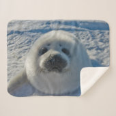 Kutest Baby Animals | Baby zegel Sherpa Deken (Voorkant (horizontaal))