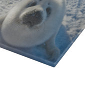 Kutest Baby Animals | Baby zegel Snijplank (Hoek)