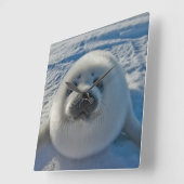 Kutest Baby Animals | Baby zegel Vierkante Klok (Hoek)