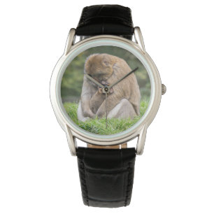 Kutest Baby Animals   Barbary Macaque Horloge