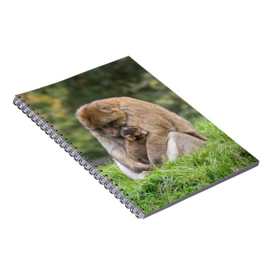 Kutest Baby Animals | Barbary Macaque Notitieboek (Rechterzijde)