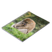 Kutest Baby Animals | Barbary Macaque Notitieboek (Linkerzijde)