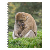 Kutest Baby Animals | Barbary Macaque Notitieboek (Voorkant)