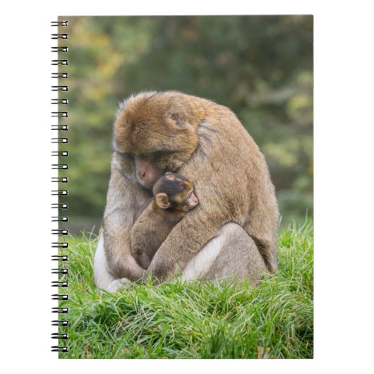 Kutest Baby Animals | Barbary Macaque Notitieboek (Voorkant)