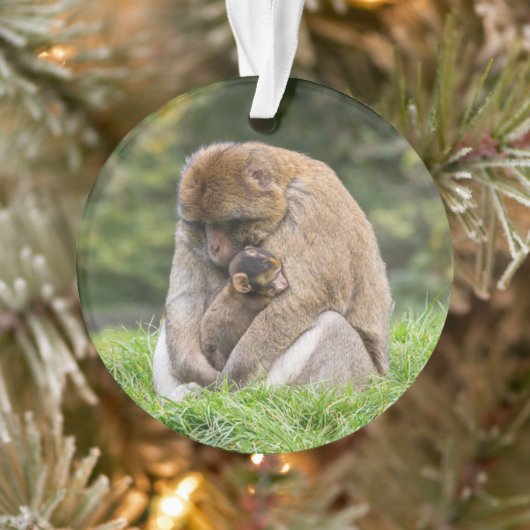 Kutest Baby Animals | Barbary Macaque Ornament (Boom)
