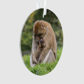 Kutest Baby Animals | Barbary Macaque Ornament (voorkant)