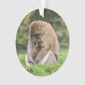 Kutest Baby Animals | Barbary Macaque Ornament (voorkant)
