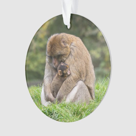 Kutest Baby Animals | Barbary Macaque Ornament (voorkant)