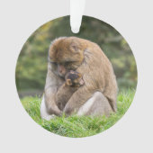Kutest Baby Animals | Barbary Macaque Ornament (voorkant)