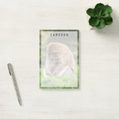 Kutest Baby Animals | Barbary Macaque Post-it® Notes (Kantoor)