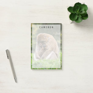 Kutest Baby Animals   Barbary Macaque Post-it® Notes