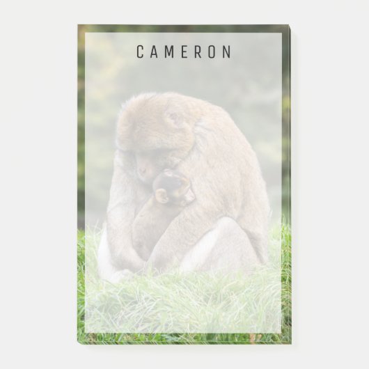 Kutest Baby Animals | Barbary Macaque Post-it® Notes (Voorkant)