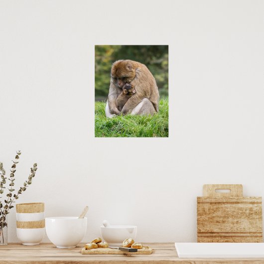 Kutest Baby Animals | Barbary Macaque Poster (Keuken)