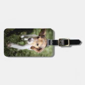 Kutest Baby Animals | Beagle Puppy Bagagelabel (Voorkant horizontaal)