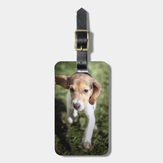 Kutest Baby Animals | Beagle Puppy Bagagelabel (Voorkant verticaal)