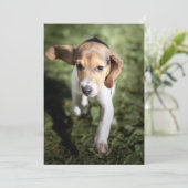 Kutest Baby Animals | Beagle Puppy Bedankkaart (Staand voorkant)