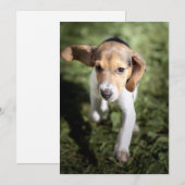 Kutest Baby Animals | Beagle Puppy Bedankkaart (Voorkant / Achterkant)