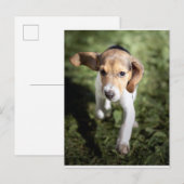 Kutest Baby Animals | Beagle Puppy Briefkaart (Voorkant / Achterkant)