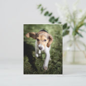 Kutest Baby Animals | Beagle Puppy Briefkaart (Staand voorkant)